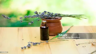 楚风汉韵话桑拿：武汉特色桑拿文化的历史沉淀与发展 图片