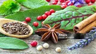 江城沐浴风情：探秘武汉桑拿按摩的文化历史与地域特色 图片