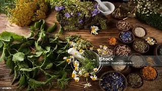 江城桑拿新体验：武汉特色桑拿会所尊享推荐 图片