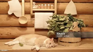 汉味慢生活：武汉按摩里的老街故事与养生哲学 图片