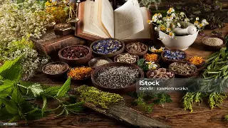 告别亚健康：武汉老中医私藏的春夏养生搭配秘籍，让你元气满满！ 图片