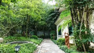 解码老汉口的养生密码：从热干面到汉绣，感受地道武汉的精气神 图片