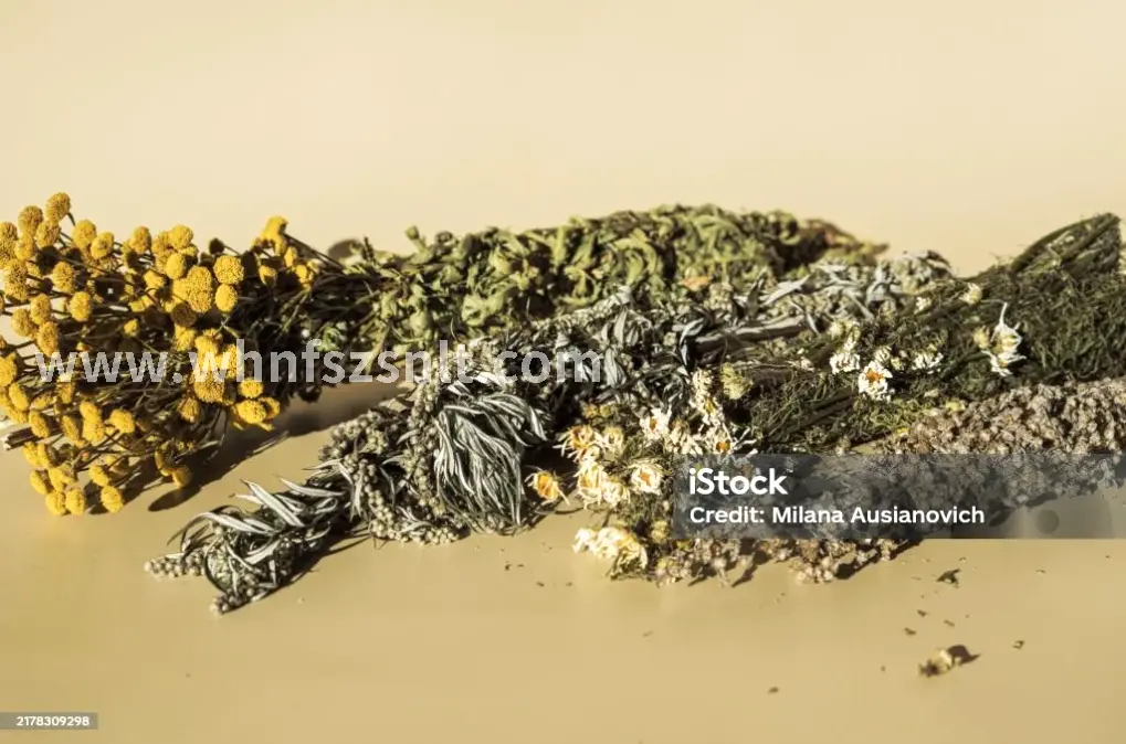 长江边散步养生