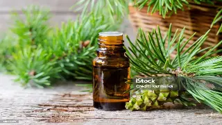 武汉养生搭配的聪明玩法：让你的健康生活升级到底