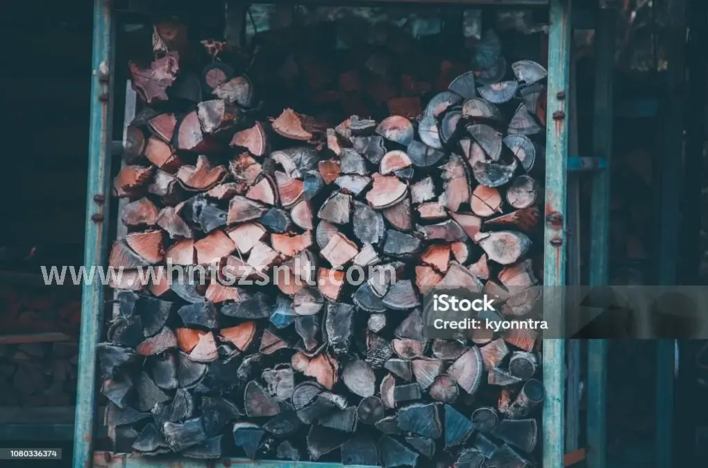 沉浸式感官体验